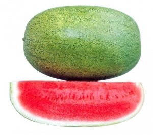 هندوانه ساکاتا3تا4کیلو گرم