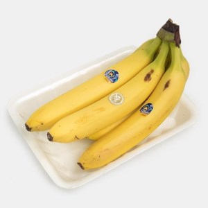 موزاکوادور